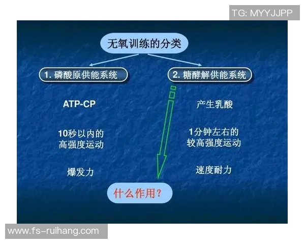 深圳羽毛球队反击战术全面解析与实战应用探讨
