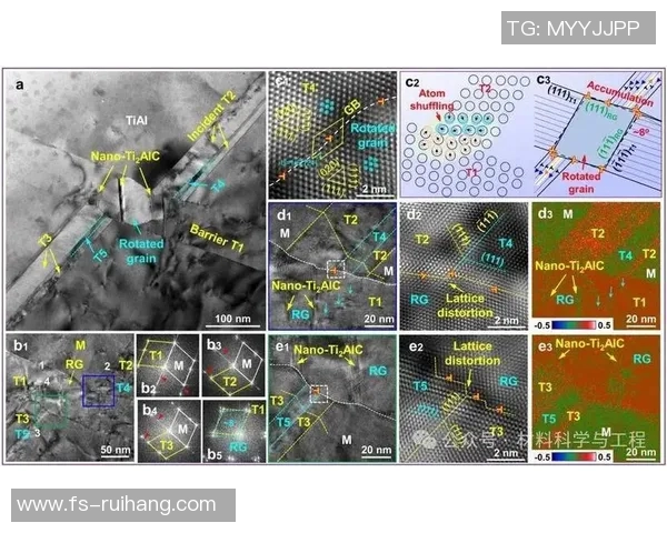 广州网球队灵活应变的策略与发展探讨